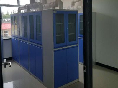 實驗室全鋼排風(fēng)藥品柜 實驗室全鋼排風(fēng)藥品柜